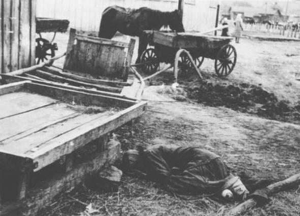 голодомор-4