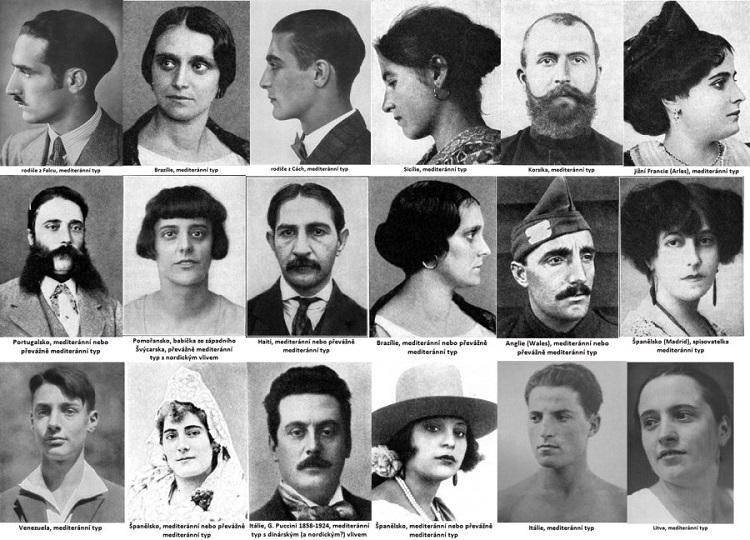 Почему IQ маори выше, чем у греков и ирландцев () Почему IQ маори выше, чем у греков и ирландцев