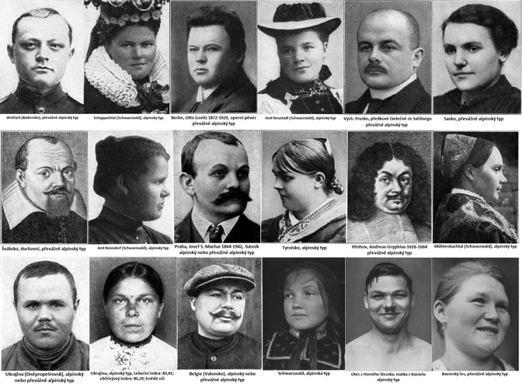 Почему IQ маори выше, чем у греков и ирландцев () Почему IQ маори выше, чем у греков и ирландцев