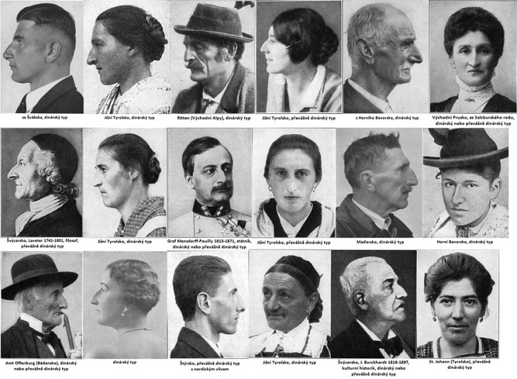 Почему IQ маори выше, чем у греков и ирландцев () Почему IQ маори выше, чем у греков и ирландцев