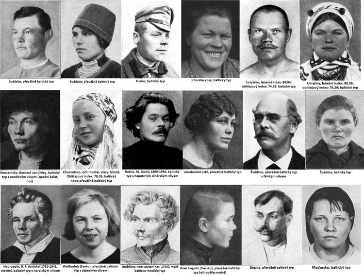 Почему IQ маори выше, чем у греков и ирландцев () Почему IQ маори выше, чем у греков и ирландцев