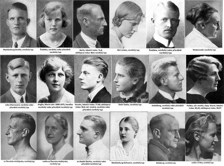 Почему IQ маори выше, чем у греков и ирландцев () Почему IQ маори выше, чем у греков и ирландцев