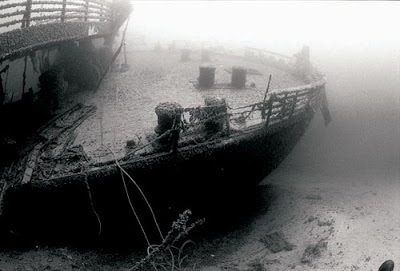 Последний круиз… () Последний круиз…