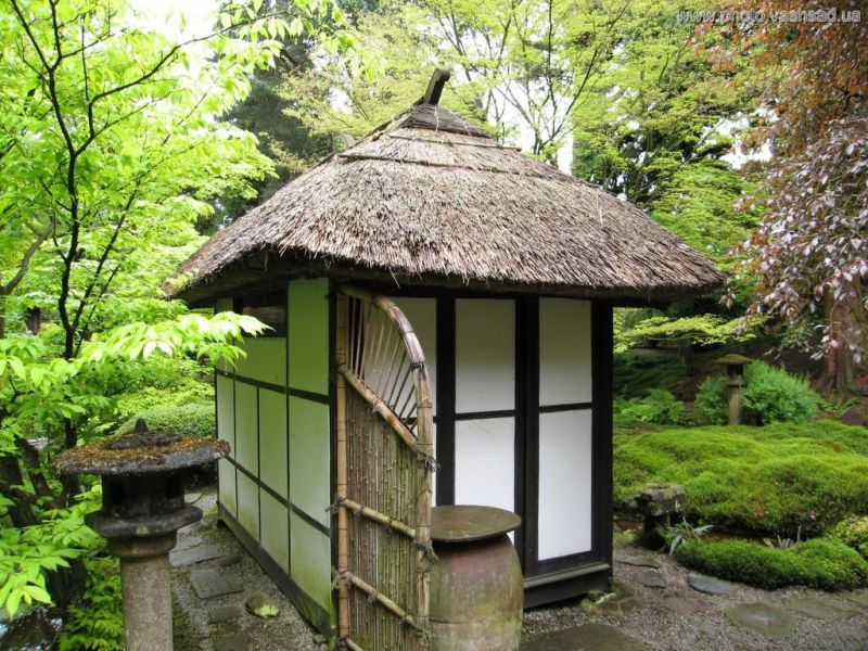 Самураи и чай Самураи и чай