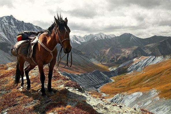 Конные походы алтай Конные походы алтай