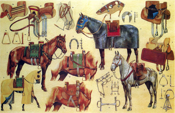 Как фламандцы колонизировали Европу в XII-XIII веках