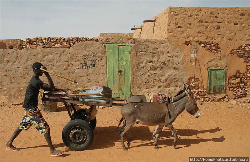 Рабы и рабовладельцы. Торговля людьми в современном мире () Рабы и рабовладельцы. Торговля людьми в современном мире