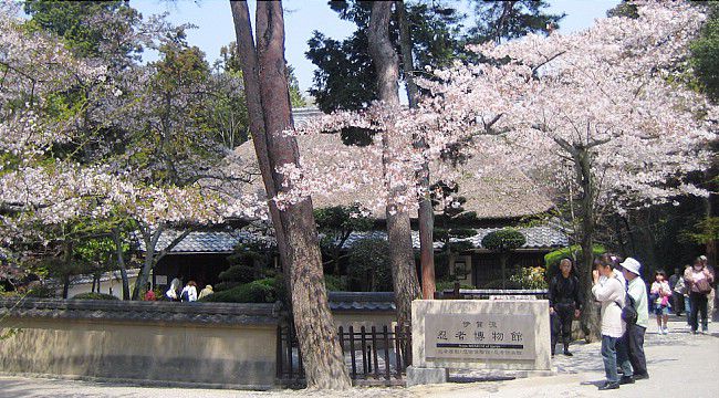Самураи и ниндзя (часть первая) Самураи и ниндзя (часть первая)
