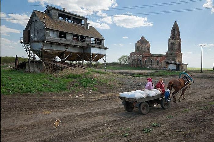 Сельское хозяйство и продовольственная безопасность. Проблемы и перспективы () Сельское хозяйство и продовольственная безопасность. Проблемы и перспективы