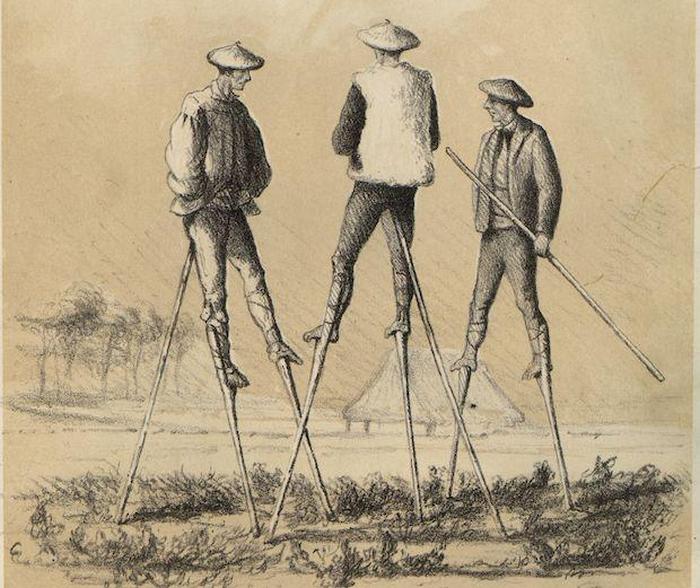 7 модных элементов гардероба, которые сегодня вызывают недоумение () 7 модных элементов гардероба, которые сегодня вызывают недоумение