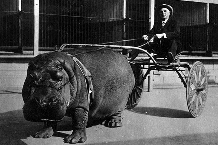 Фотографии из прошлого. Фотографии из прошлого.