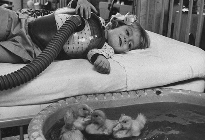 Крякватерапия. Крякватерапия.