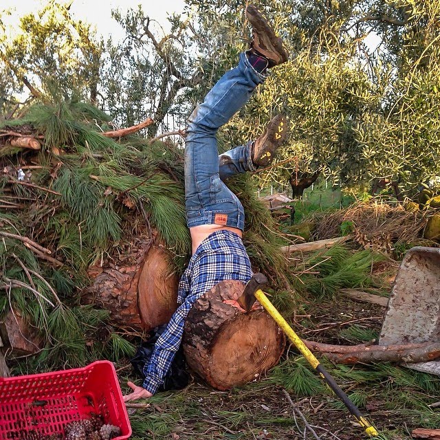 Фотография: крах и падение иллюзий жизни: забавные снимки о постановочных несчастных случаях () Фотография: крах и падение иллюзий жизни: забавные снимки о постановочных несчастных случаях