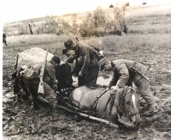 «Гитлера победила русская грязь» () «Гитлера победила русская грязь»