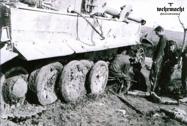 «Гитлера победила русская грязь» () «Гитлера победила русская грязь»