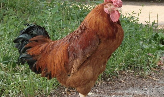 20 Фактов о майя, которые могут показаться невероятными () 20 Фактов о майя, которые могут показаться невероятными