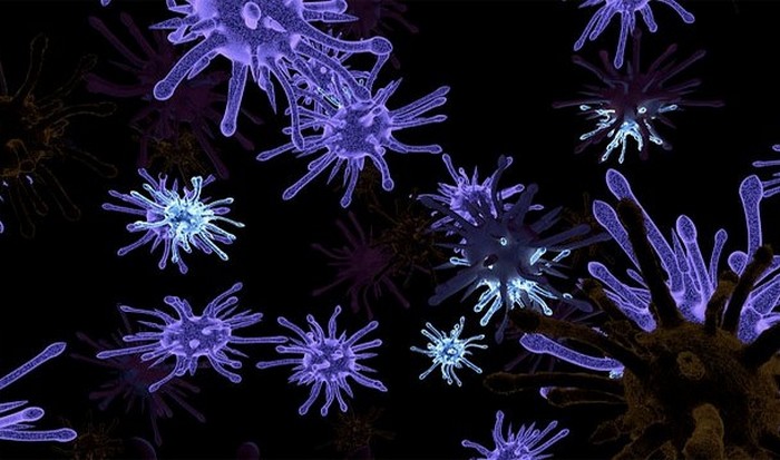 24 Факта об ацтеках, ставших последней из великих индейских цивилизаций () 24 Факта об ацтеках, ставших последней из великих индейских цивилизаций