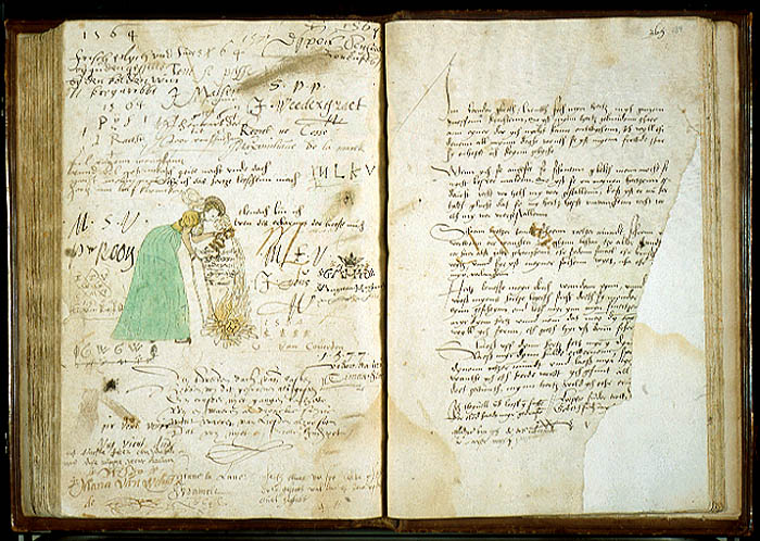 «Аlba amicorum» как предтеча facebook, или социальные сети 400-летней давности () «Аlba amicorum» как предтеча facebook, или социальные сети 400-летней давности