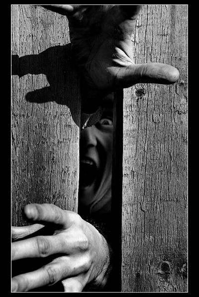 Мнимая смерть: ненастоящие покойники. () Мнимая смерть: ненастоящие покойники.