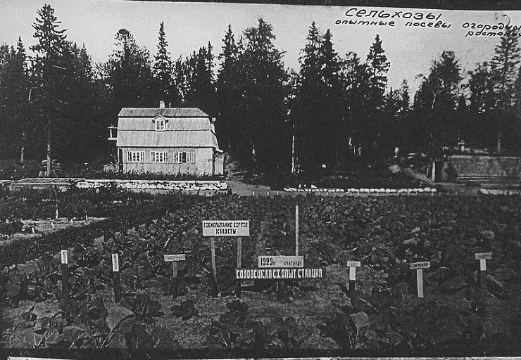 Новый год русских фашистов в СЛОНе () Новый год русских фашистов в СЛОНе