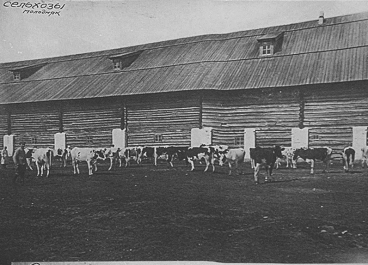 Новый год русских фашистов в СЛОНе () Новый год русских фашистов в СЛОНе