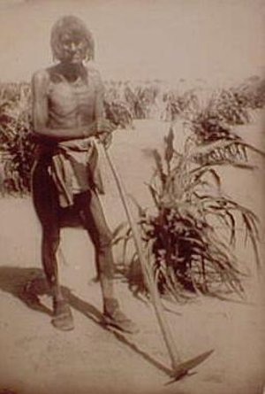 Пророчества и предсказания индейцев Хопи. () Пророчества и предсказания индейцев Хопи.