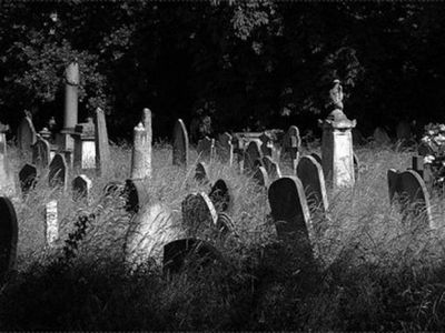 Случай на кладбище. () Случай на кладбище.