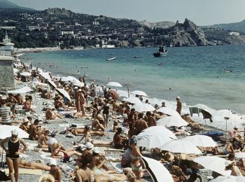 В ТЕНИ МАГНОЛИЙ () В ТЕНИ МАГНОЛИЙ