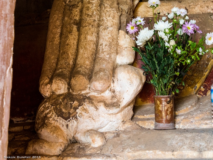 Доброта спасёт мир. Доброта спасёт мир.