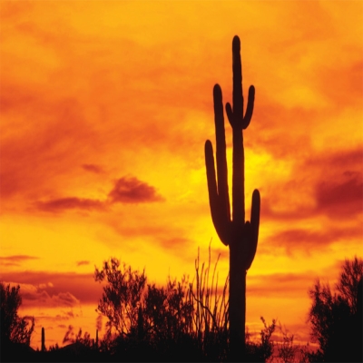 Зона молчания в Мексике. () Зона молчания в Мексике.