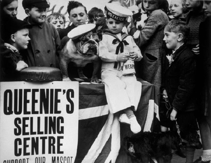 Участник выставки для сбора средств на вооружение. Участник выставки для сбора средств на вооружение.