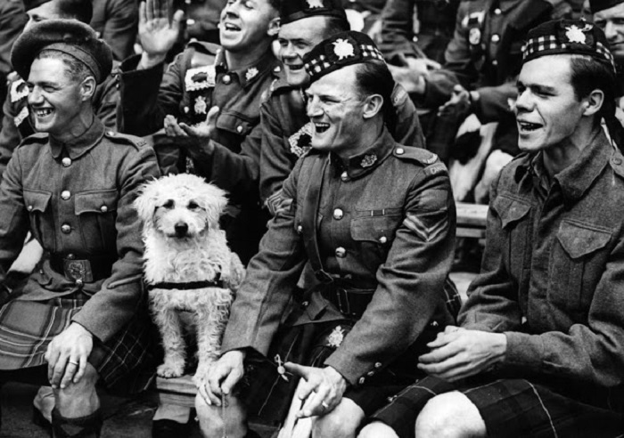 На бейсбольном матче между США и Канадой, на стадионе Уэмбли в Лондоне, один зритель не совсем в восторге от действия на поле... На бейсбольном матче между США и Канадой, на стадионе Уэмбли в Лондоне, один зритель не совсем в восторге от действия на поле...