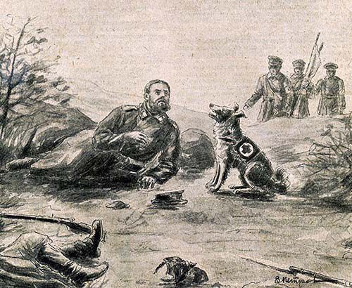 Четвероногие санитары Четвероногие санитары