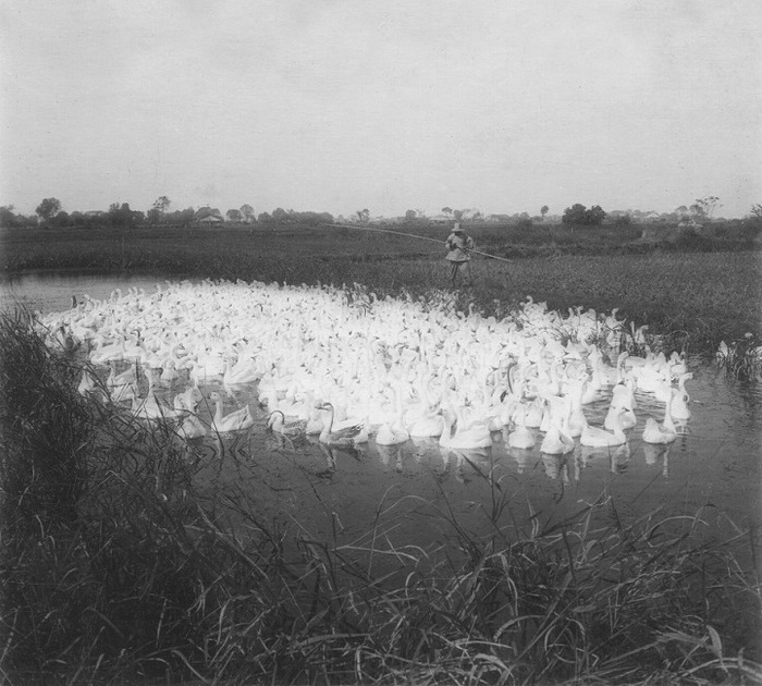 12 уникальных фотографий, на которых запечатлена жизнь в Шанхае в 1930-х годах () 12 уникальных фотографий, на которых запечатлена жизнь в Шанхае в 1930-х годах