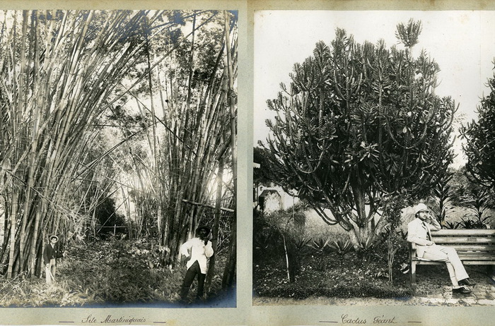 За шаг до гибели: редкие фотографии райского острова, жители которого были обречены на смерть () За шаг до гибели: редкие фотографии райского острова, жители которого были обречены на смерть