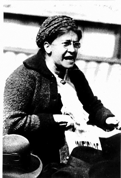 Эмма Гольдман: Мать анархии () Эмма Гольдман: Мать анархии