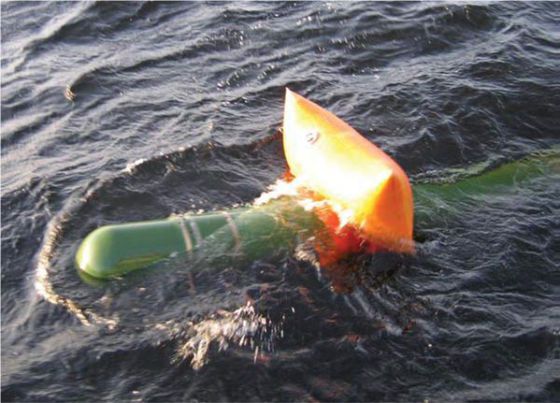 Современные отечественные неатомные подводные лодки