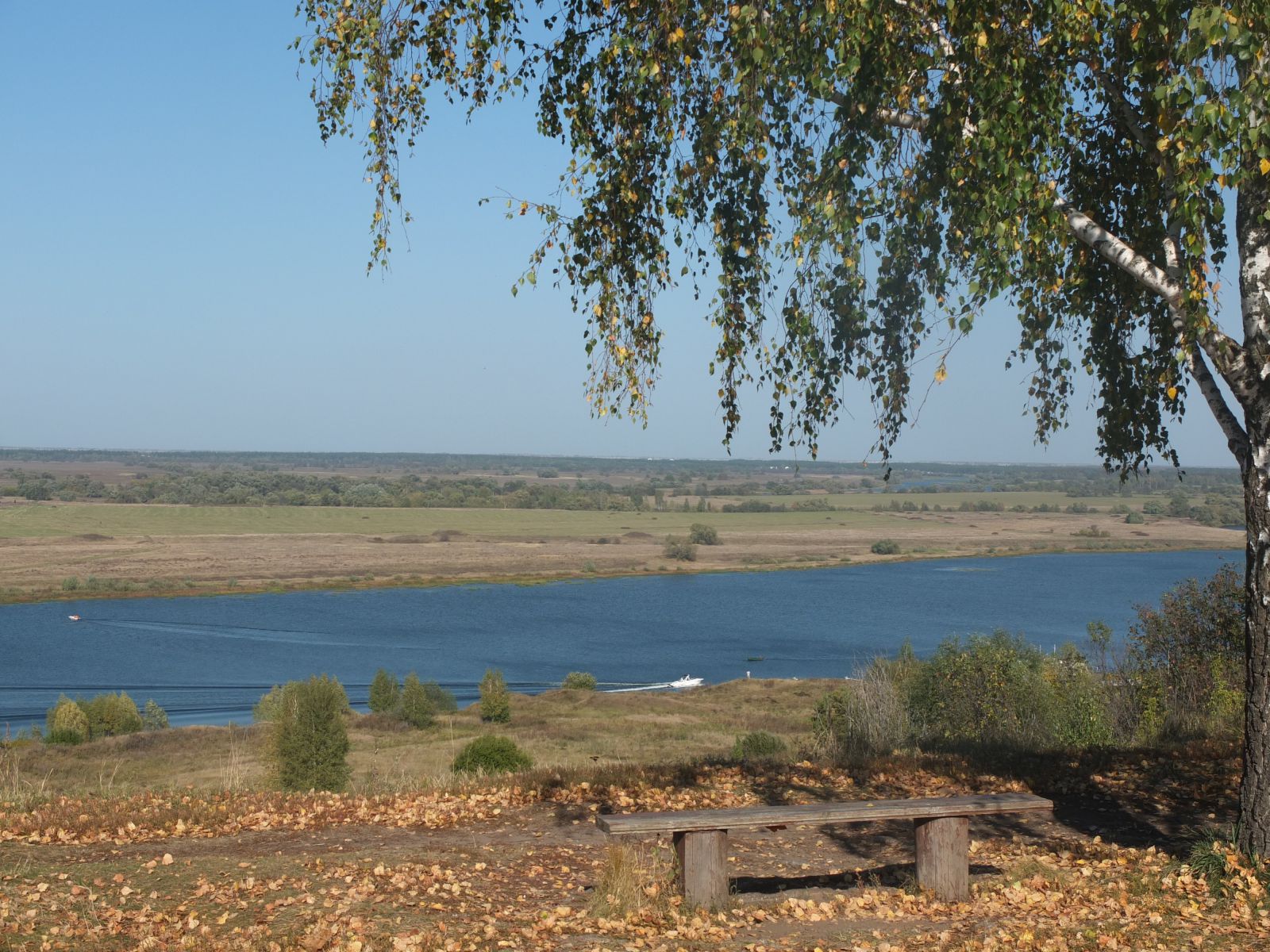 ТОЛЬКО ЛИШЬ МЕЧТАТЕЛЬ