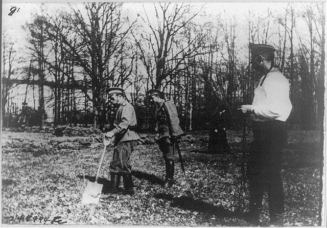 Восстание Царскосельского гарнизона в феврале 1917-го () Восстание Царскосельского гарнизона в феврале 1917-го