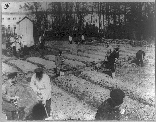 Восстание Царскосельского гарнизона в феврале 1917-го () Восстание Царскосельского гарнизона в феврале 1917-го