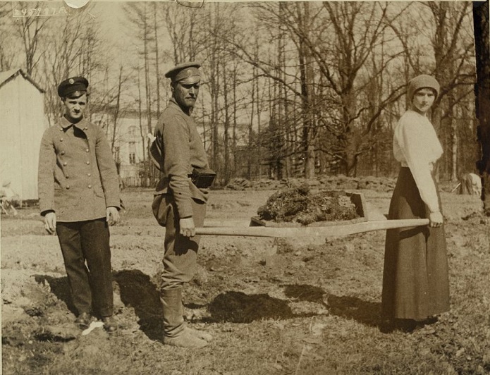 Восстание Царскосельского гарнизона в феврале 1917-го () Восстание Царскосельского гарнизона в феврале 1917-го