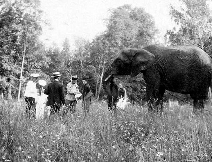 Восстание Царскосельского гарнизона в феврале 1917-го () Восстание Царскосельского гарнизона в феврале 1917-го
