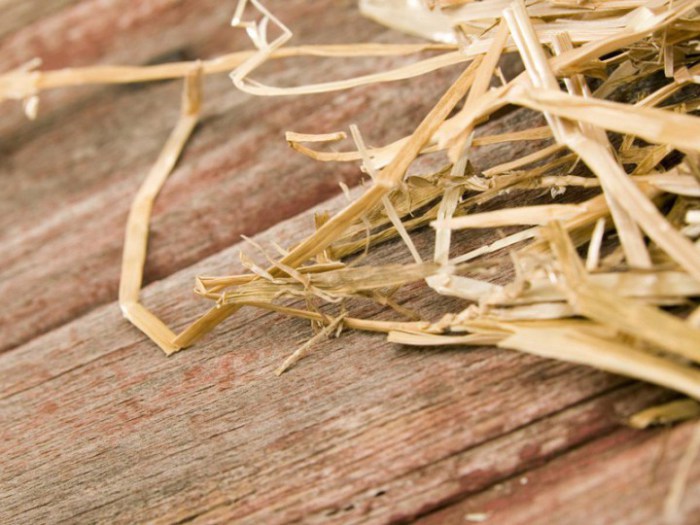 Земляной пол был присыпан соломой и обильно удобрен наслоениями мусора. Земляной пол был присыпан соломой и обильно удобрен наслоениями мусора.