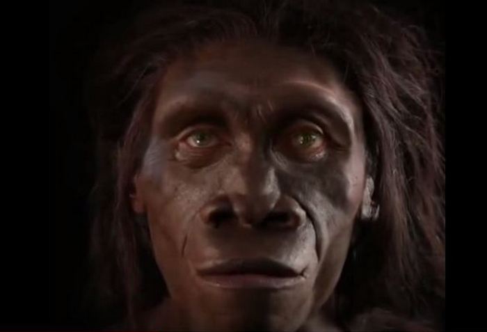 Как изменялось лицо человека. Как изменялось лицо человека.