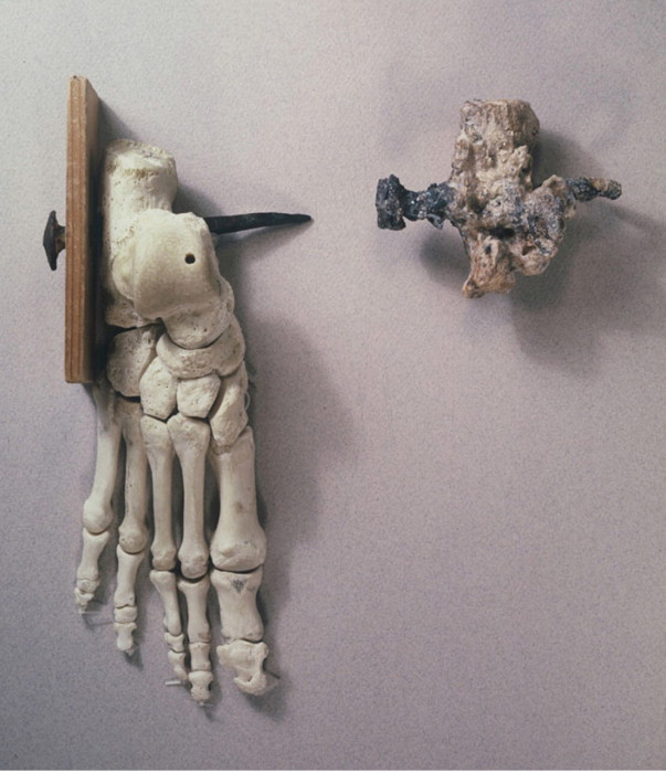 Казнь на кресте: распятие в Библии и в реальной жизни () Казнь на кресте: распятие в Библии и в реальной жизни