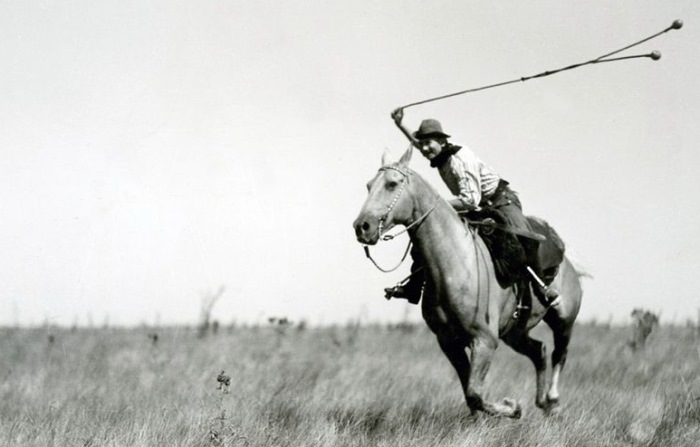 Трюки с лассо верхом на лошади Трюки с лассо верхом на лошади
