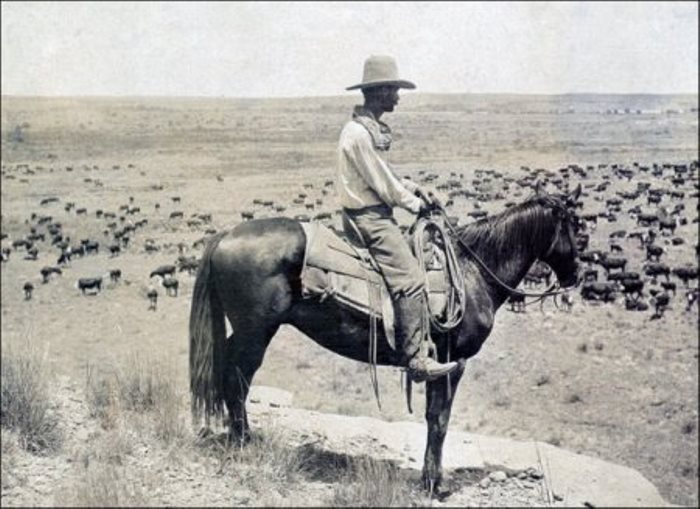 Конный пастух за работой Конный пастух за работой