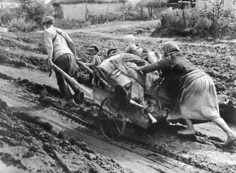 Мальчишки, спасшие колхозное сено