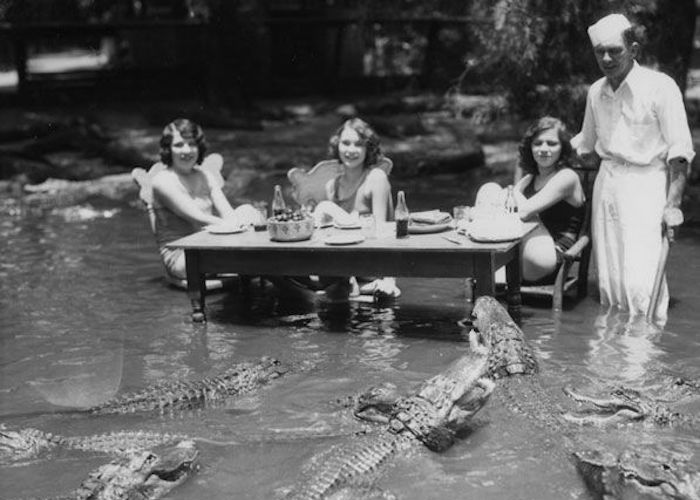 Исчезнувшие достопримечательности: обед и развлечения с аллигаторами в центре мегаполиса () Исчезнувшие достопримечательности: обед и развлечения с аллигаторами в центре мегаполиса