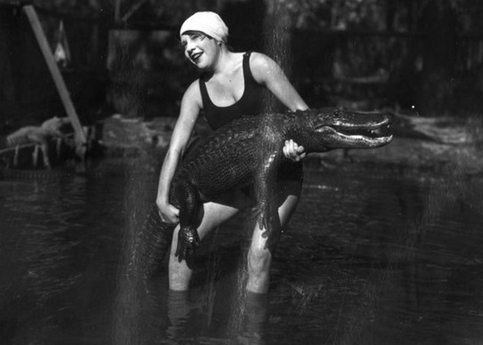 Исчезнувшие достопримечательности: обед и развлечения с аллигаторами в центре мегаполиса () Исчезнувшие достопримечательности: обед и развлечения с аллигаторами в центре мегаполиса